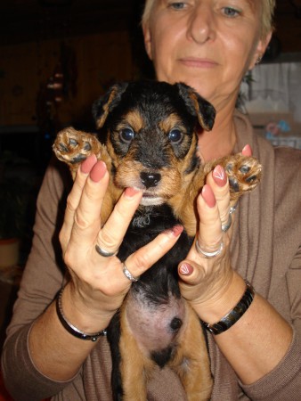 ich habe noch keinen Namen, und bin mit 5 Wochen der kleinste aber auch ur lieb.